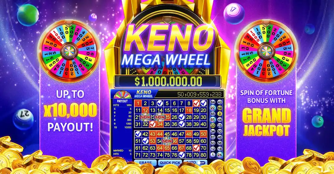 5555bet 655 bet cassino entretenimento